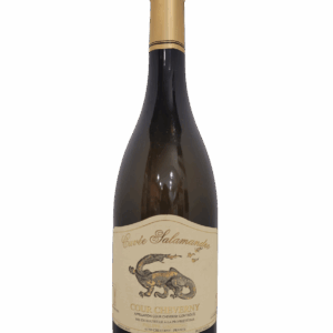 Loquineau - Cour Cheverny 2022 - Salamandre