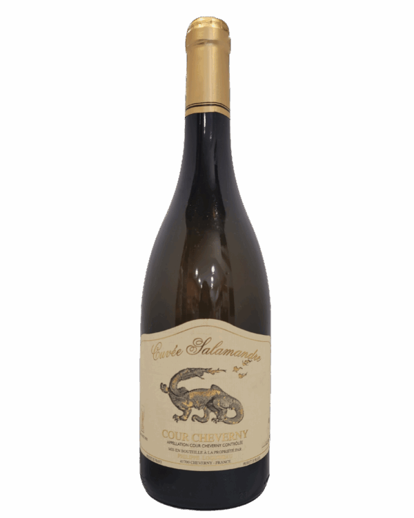 Loquineau - Cour Cheverny 2020 - Salamandre