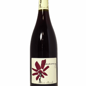 Villemade - Cheverny Rouge 2024