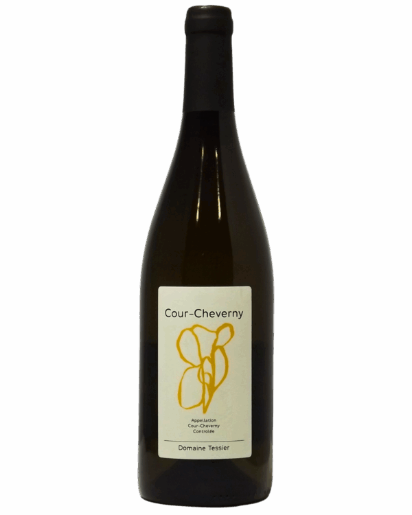 Tessier Simon - Cour Cheverny 2023